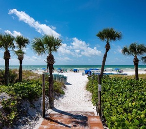 Siesta Dunes 