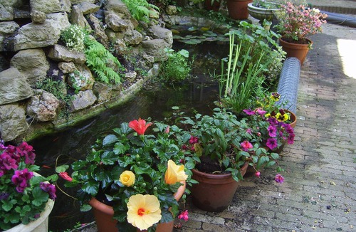 De Weteringschans Apartment | Simpel central-canal street-level studio for 2. Private entrance nice garden.