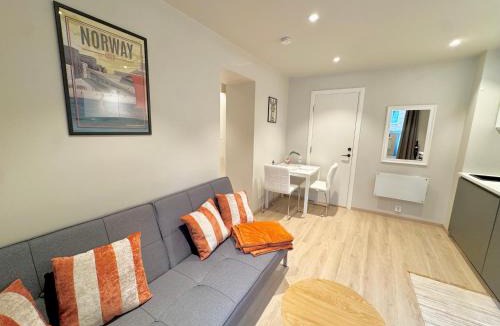 Bislett Apartment | Smart & Central - New Renovated