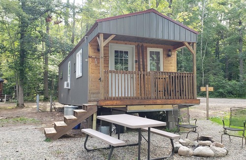 Nevis Cabin | Tiny cabin in towering pines, with lake view. Pets accepted!
