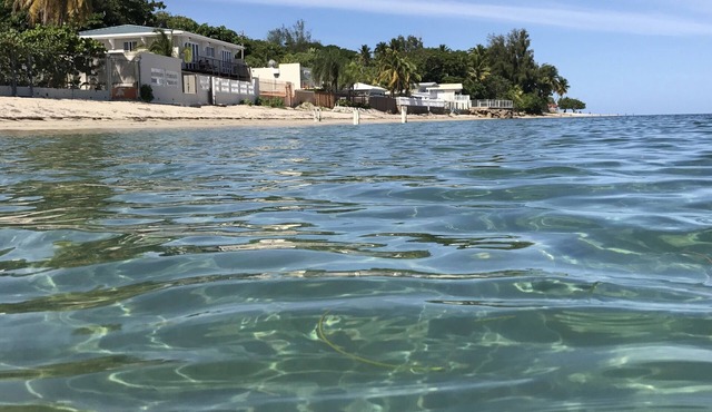 Casa Melville Beach Front Property, Glistening waters, Relaxation to the Max!