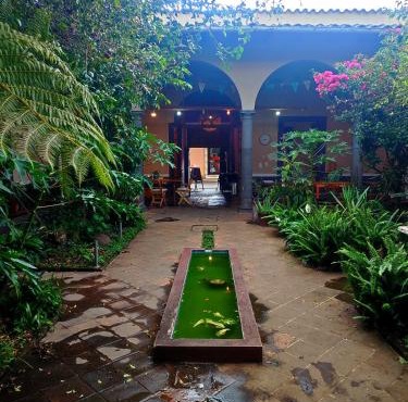 Casa Morfo Cultura