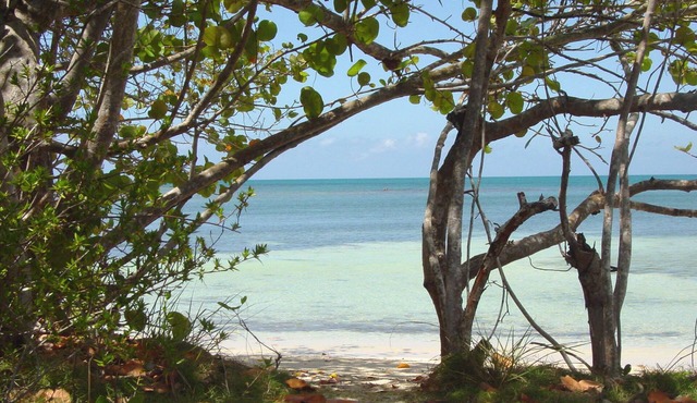 Cayo del Sol -Your gateway to tranquility and beach bliss. 3bdr/2bath near Buye