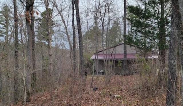 Collier Cabin in Pine Hollow ~ Eminence, MO