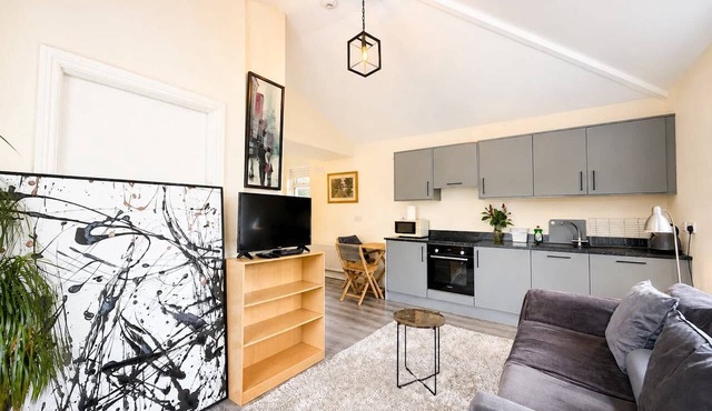 Cosy Studio Near Blackrock Village and DART
