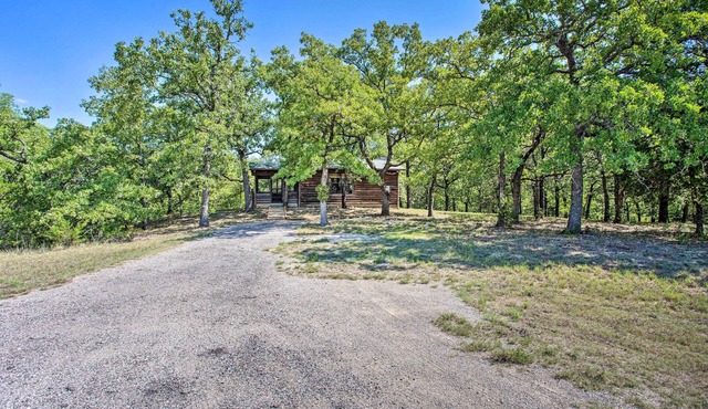 Cozy, Secluded Davis Cabin on 60 Wooded Acres