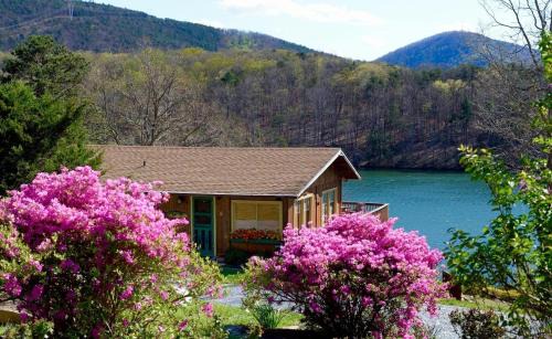 Cute and Comfy Cabin, Stunning Lakefront Views,