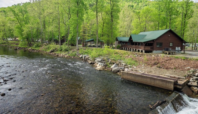 Fall Foliage Riverfront Cabin w/Hot Tub, King Bed, EV & Firepit & Mountain Views