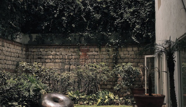 Historic Hacienda w/Art Gallery