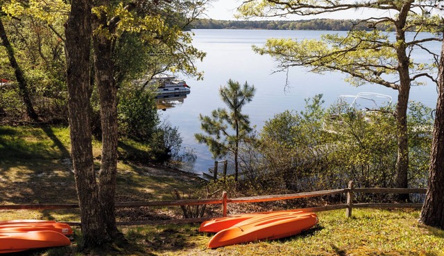 Luxe Lakefront Retreat★Sauna★Media Rm★Kayaks-SUPs★Bikes★Steps to BikePath★Pet OK