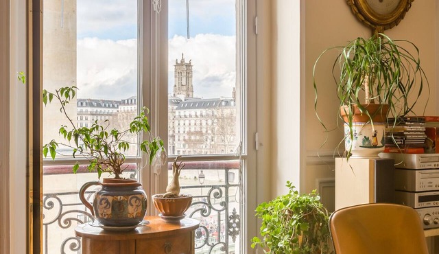 Overlooking the Seine on Ile de la Cité, by Veeve