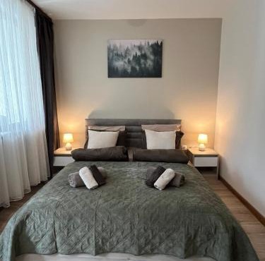 RIA studio in Borovets Gardens hotel