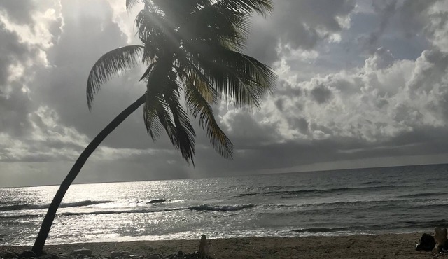 Southern Exposure, Secluded New Beach House on Cayman Brac! Divers delight!