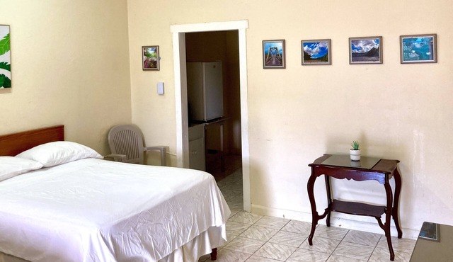 THE IRIE INN APT #2