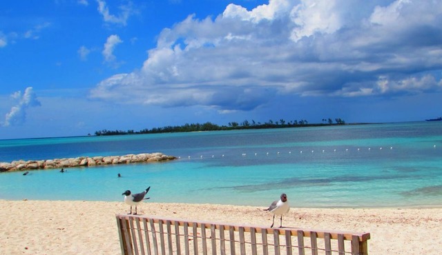 Tre'Tel Home Away #2, Centrally located, 5-minute Walk To The Beach 1600 sq. ft.