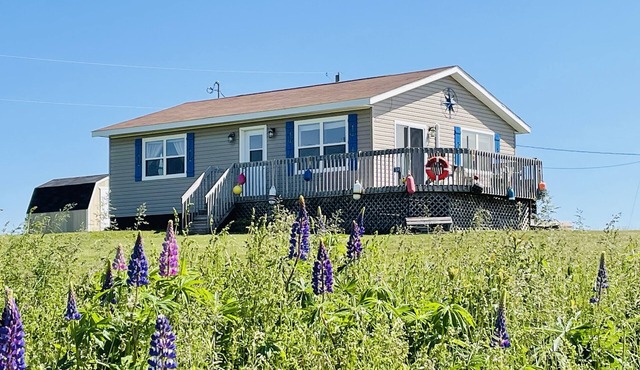 Wavie Waters Cottage! - King bed, Kayaks, Centrally located, stunning views.