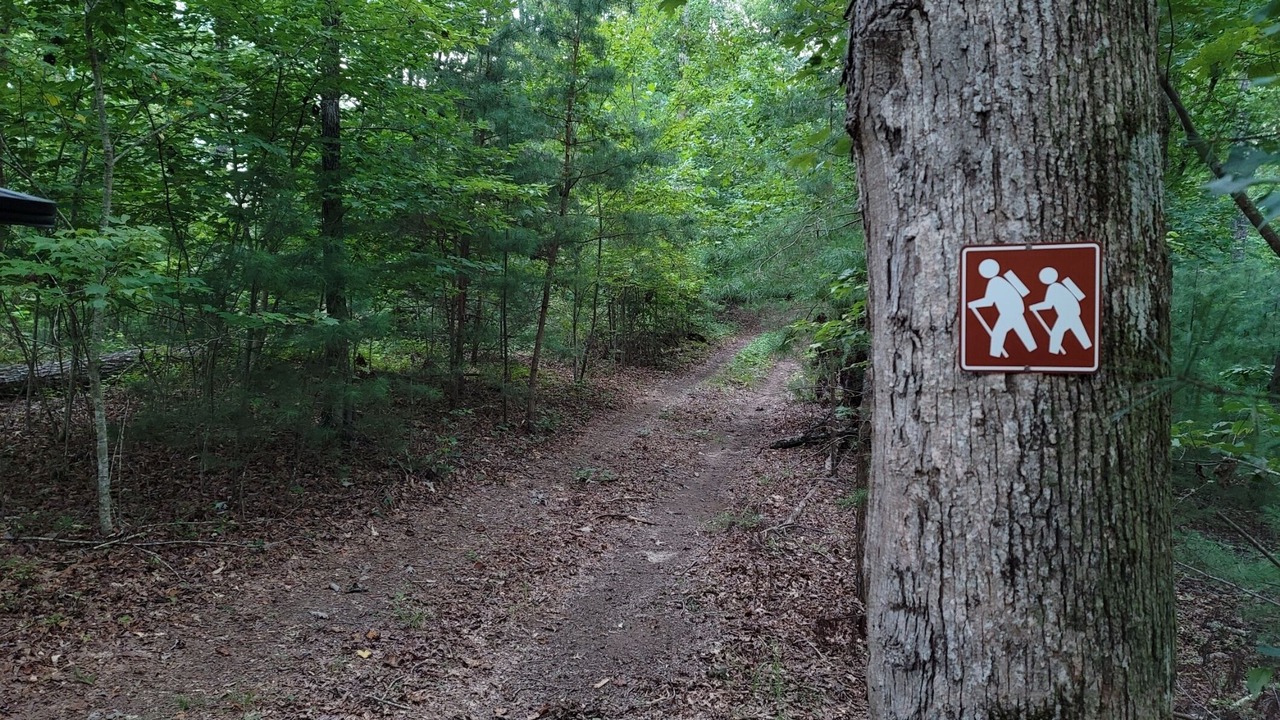 Photo of Outdoor in Clarkesville