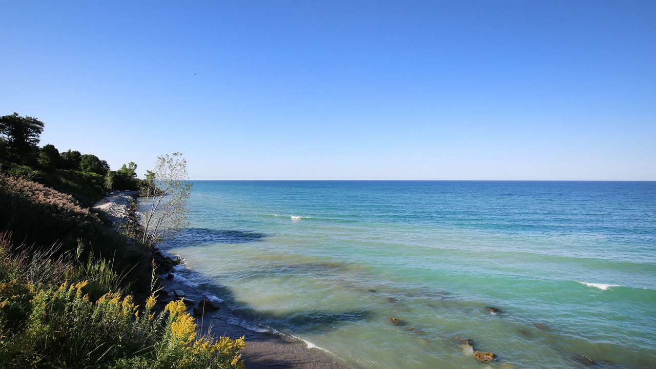 Photo of Others in South Haven