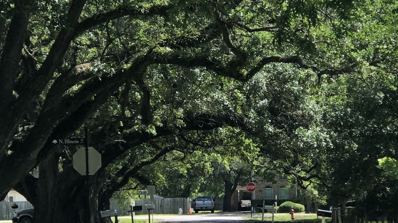 Photo of Others in League City