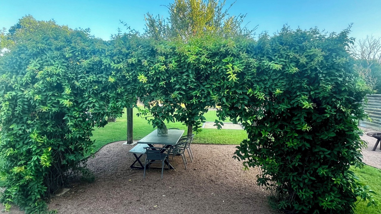 Photo of Outdoor in Fredericksburg