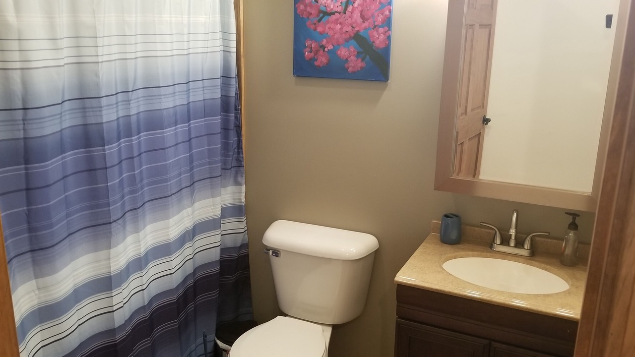 Photo of Bathroom in Leadsville