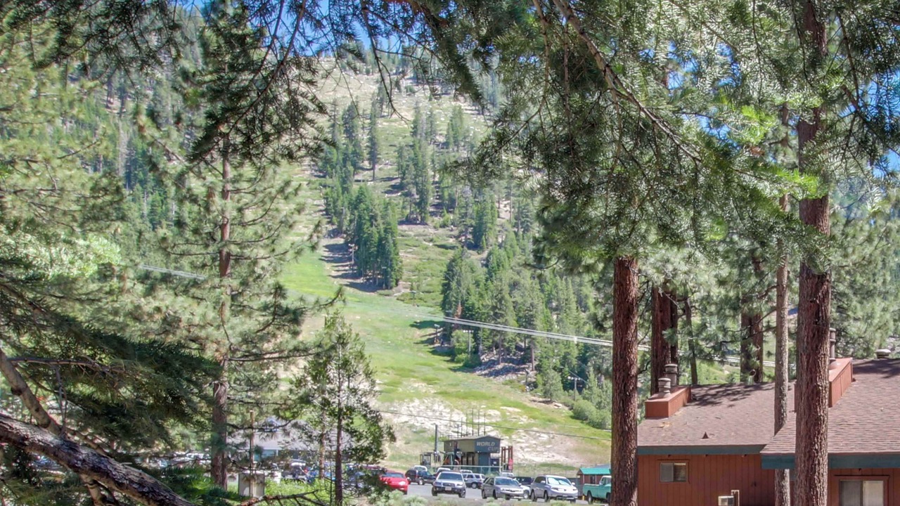Photo of Others in South Lake Tahoe