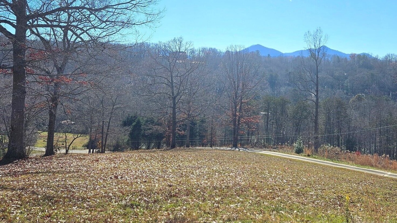 Photo of Others in Hiawassee