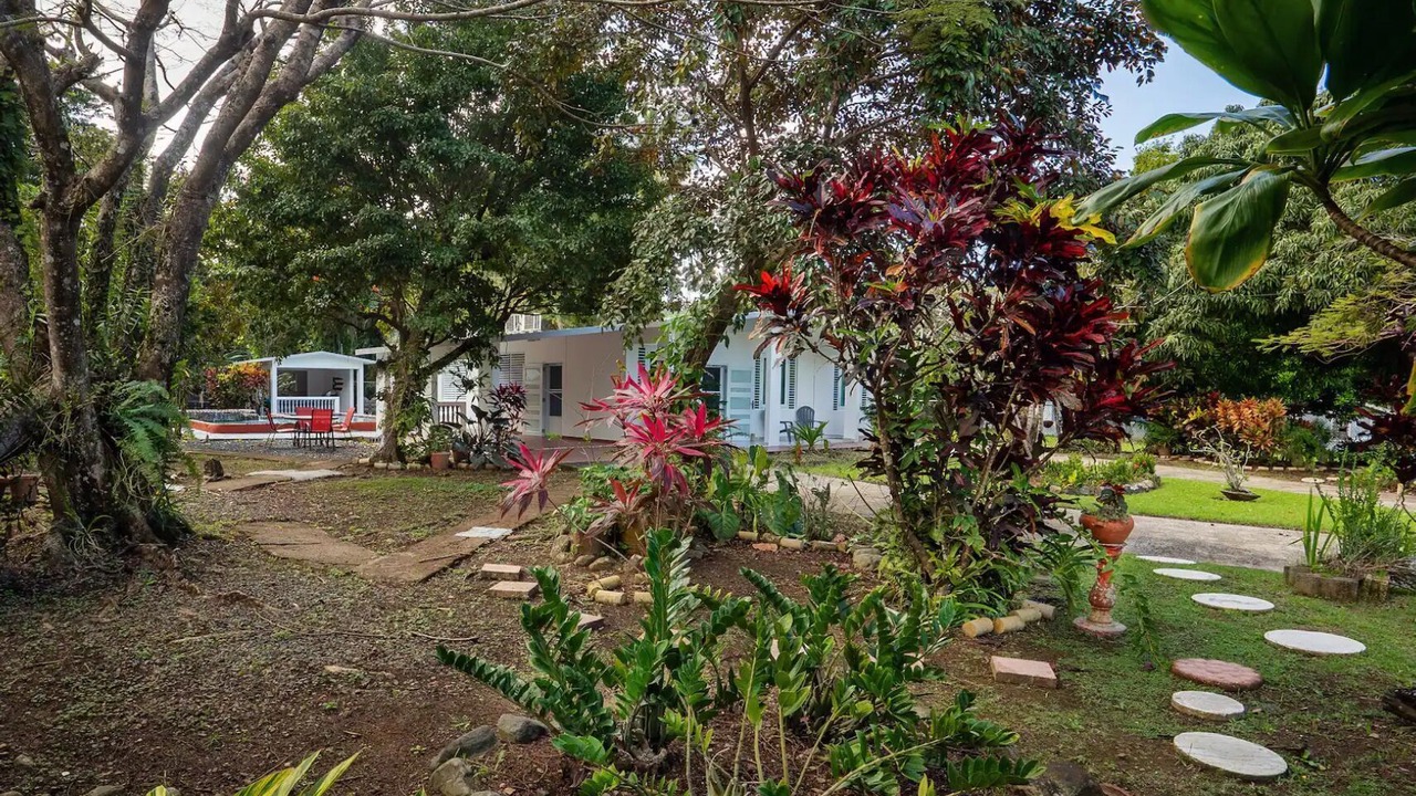 Photo of Outdoor in Mameyes II