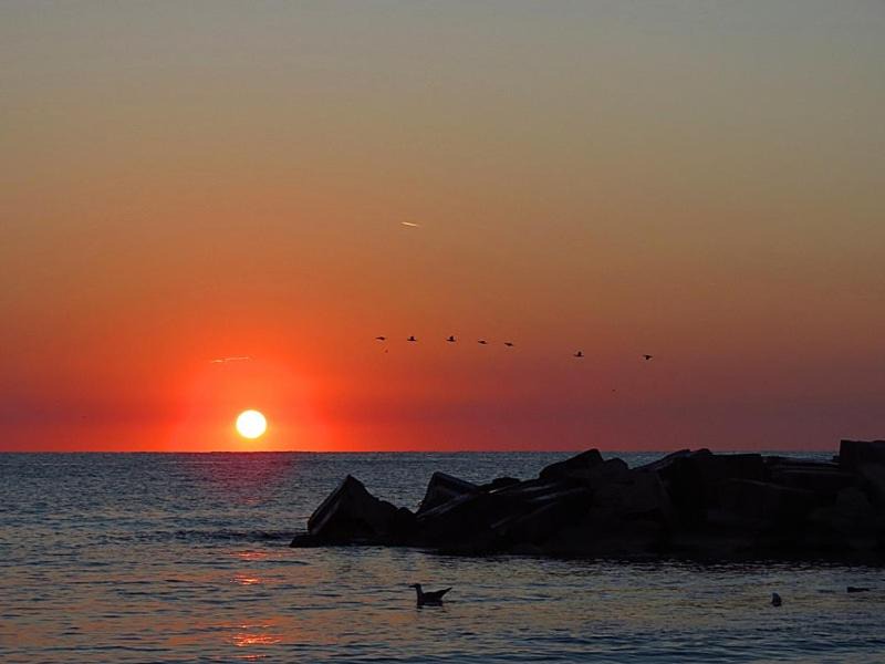 Photo of Others in Mangalia