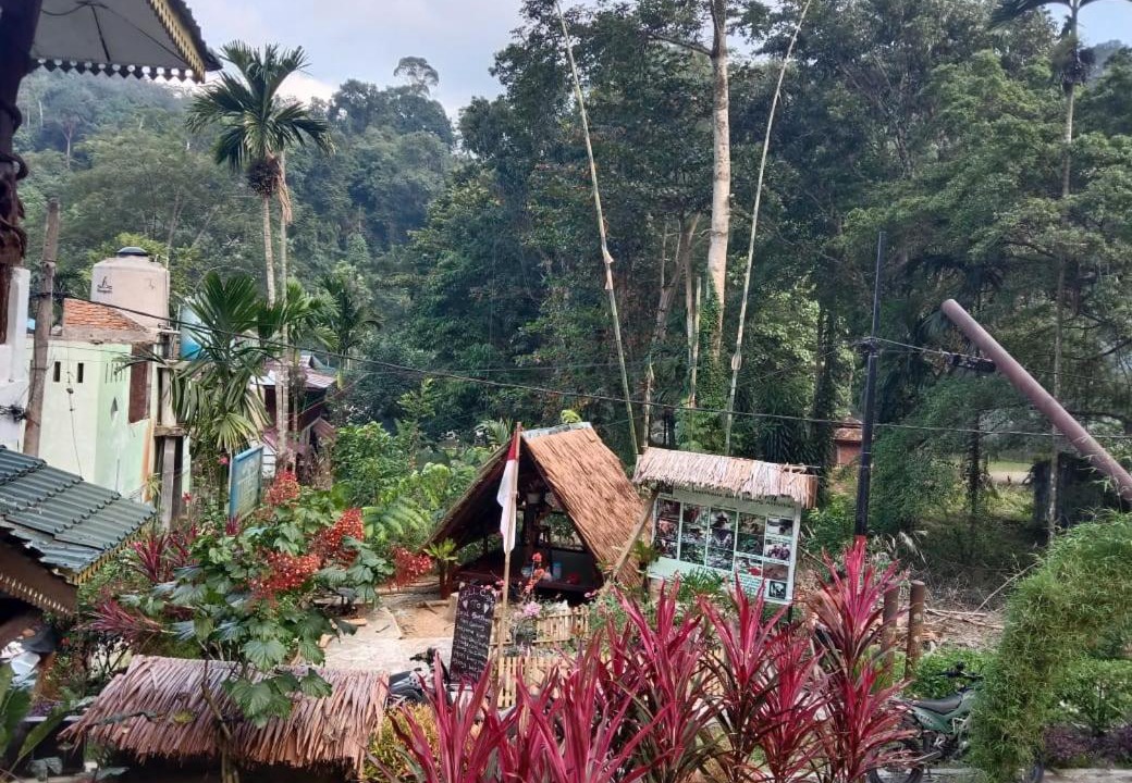 Photo of Others in Bukit Lawang