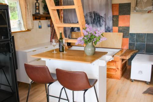 Goonieland Backcountry Sauna & Stays